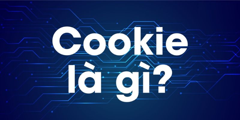 Thông tin liên quan chính sách cookie Go789